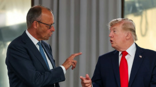 Merz verschiebt Telefonat mit Trump - Zusammenhang mit Aussage zu AfD-Sieg unklar