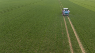 Une agriculture sans pesticide, "c'est possible", pour l'Inrae