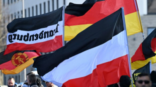 Bundesregierung stellt Verfassungsbericht für das Jahr 2024 vor