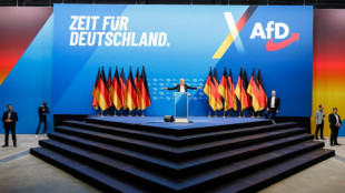 G&ouml;ring-Eckardt fordert rasche Entscheidung zu AfD-Verbotsverfahren im Bundestag
