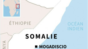 Somalie: 9 morts et 47 bless&eacute;s dans une attaque islamiste sur un h&ocirc;tel 