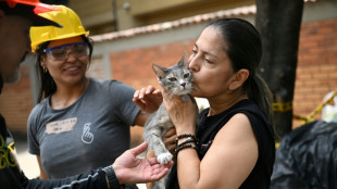 'Dream come true': Owners reunite with pets in quake-hit Colombia