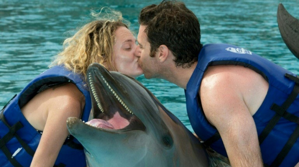 Mexiko beschließt Verbot von Delfinshows