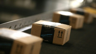 Amazon se pr&eacute;pare &agrave; livrer par drones dans une ville californienne