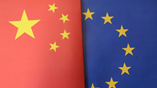 Nur noch 350.000 im Jahr: EU halbiert Hybridauto-Importe aus China