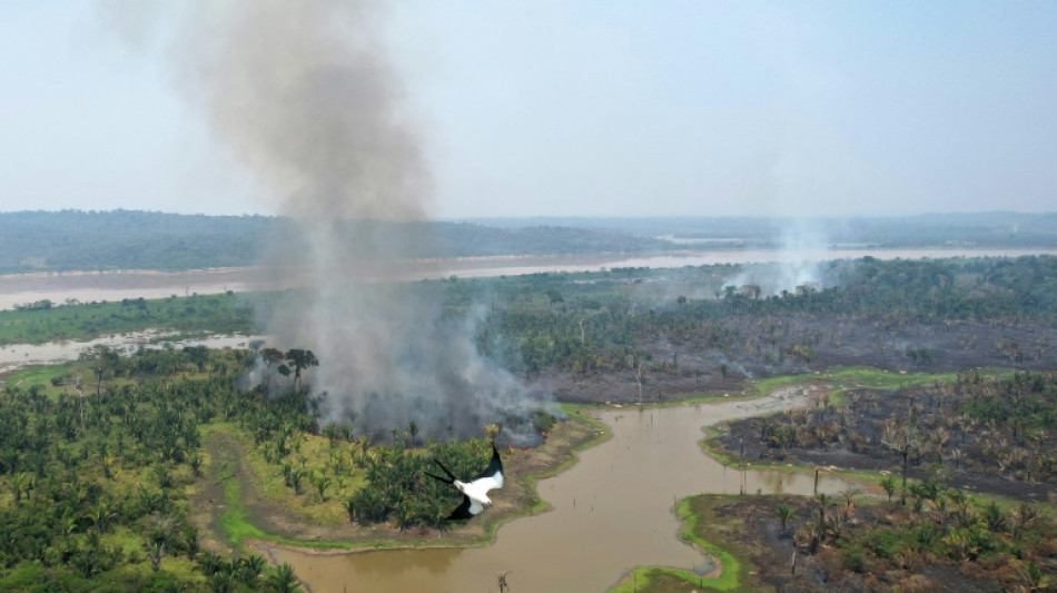 L'Amazonie br&ucirc;le &agrave; la "nouvelle fronti&egrave;re de la d&eacute;forestation"