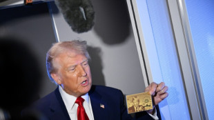 K&auml;ufliche Aufenthaltstitel: US-Pr&auml;sident pr&auml;sentiert "Trump Card" mit seinem Foto