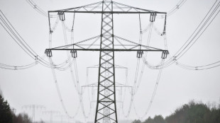 Durchsuchungen nach Stromnetz-Anschlag in Berlin