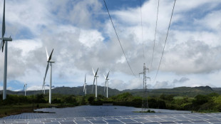 Frankreichs Nationalversammlung stimmt über Moratorium für Erneuerbare Energien ab