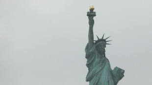 Wei&szlig;es Haus zu Freiheitsstatue: Ohne die USA w&uuml;rden die Franzosen "Deutsch sprechen"