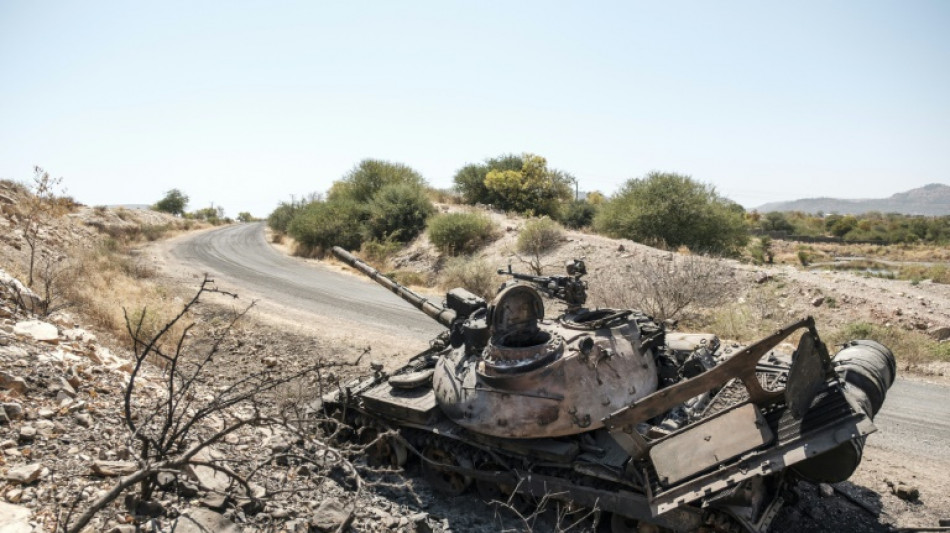 Ethiopie: l'aviation bombarde la capitale du Tigr&eacute; rebelle