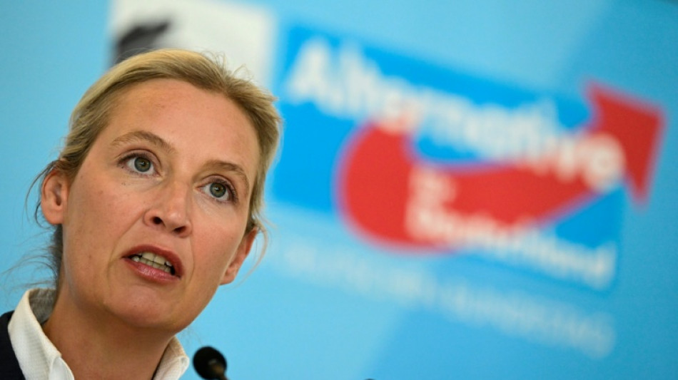 Auszug aus Verfassungsschutz-Gutachten zu AfD geleakt - Auch Weidel wird zitiert