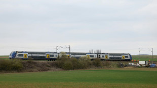 Deux militaires tu&eacute;s dans une collision avec un train &agrave; un passage &agrave; niveau