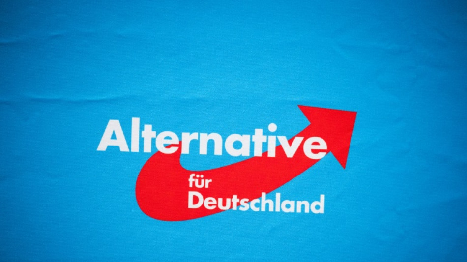 Verfassungsschutz sch&auml;tzt extremistisches Potenzial bei AfD auf 10.200 Personen