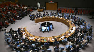 UN-Sicherheitsrat berät zu Israels Plänen für Ausweitung von Einsatz im Gazastreifen