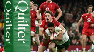 Springboks top the pile as England chase and France await Dupont