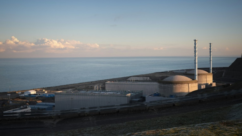Una grieta en una central nuclear de Francia obligar&aacute; a prolongar las paradas de otros reactores