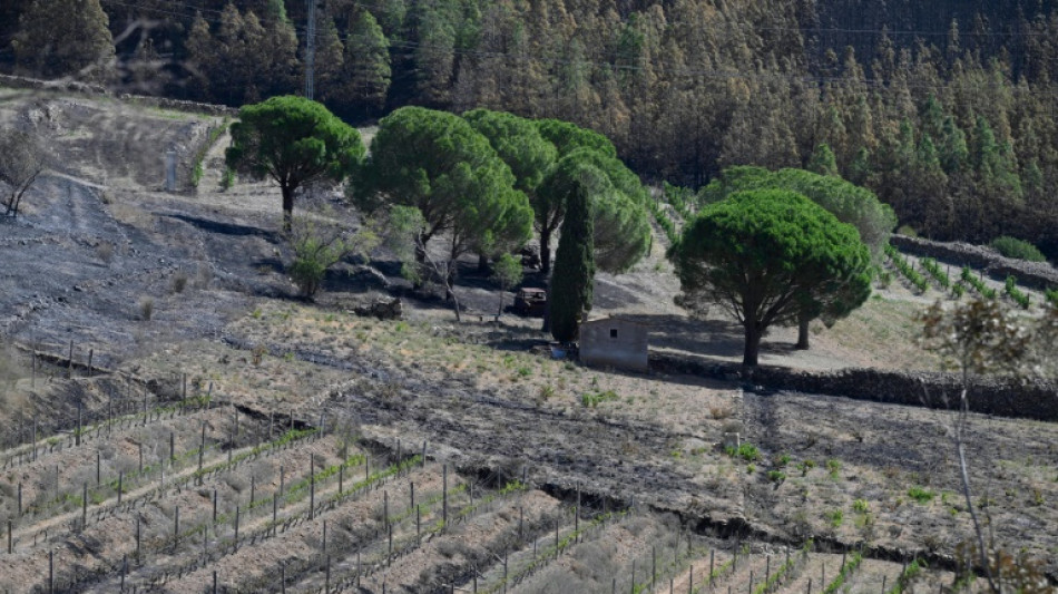 Bomberos espa&ntilde;oles controlan  incendios en Catalu&ntilde;a y Andaluc&iacute;a