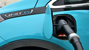 Mercado mundial de autos el&eacute;ctricos muestra fuerte crecimiento, dice agencia
