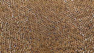 Drei Festnahmen bei Durchsuchungen wegen millionenschweren  Zigarettenschmuggels