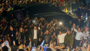 Milei atribuye al "p&aacute;nico pol&iacute;tico" en Argentina la tormenta en los mercados financieros