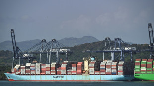 CK Hutchison: o imp&eacute;rio de Hong Kong por tr&aacute;s dos portos do Canal do Panam&aacute;