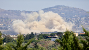 Media Libano, '11 morti nei raid israeliani su villaggio nel sud, anche 2 neonati'