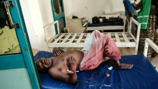 Air strikes, artillery, killings in Sudan as aid stalls