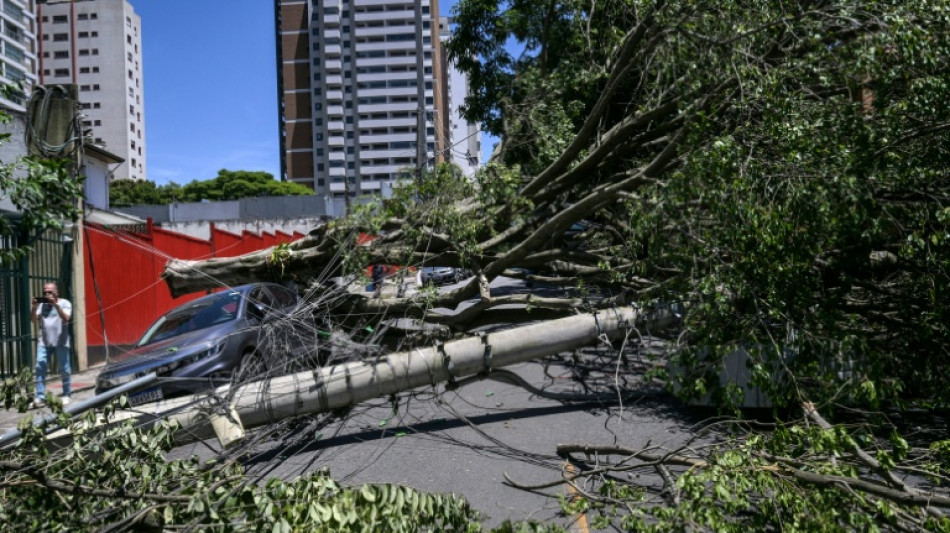 Cyclone causes blackout, flight chaos in Brazil's Sao Paulo