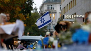 Zwei Tatverd&auml;chtige nach Diebstahl israelischer Flaggen in Hanau ermittelt