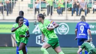 Brand rettet Wolfsburg: Sp&auml;ter Sieg gegen Hoffenheim