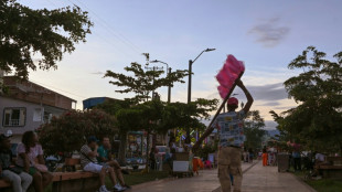 El Consejo de Seguridad de la ONU restringe el mandato de la misi&oacute;n de paz en Colombia