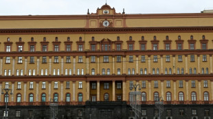 Rusia detiene a sueco por "cruzar ilegalmente" a Rusia y planear ataques