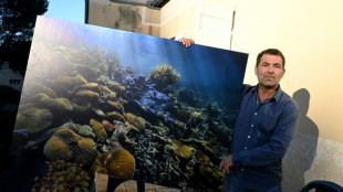 La photo de coraux g&eacute;ants d'Alexis Rosenfeld: l'espoir venu des fonds
