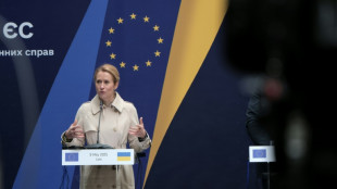 EU sagt ukrainischen R&uuml;stungsunternehmen eine Milliarde Euro aus russischen Verm&ouml;genswerten zu 