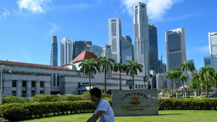 Parlament in Singapur aufgel&ouml;st - Neuwahlen am 3. Mai