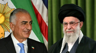 Iranische Oppositionsführer fordern Chamenei zum Rücktritt auf