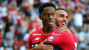 Foot: Lille impressionne et Rennes d&eacute;chante... La Ligue 1 d&eacute;marre en trombe