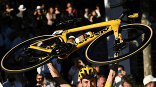 Vingegaard wins 2022 Tour de France