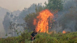 Monitor says Indonesia fires have burned nearly two million hectares
