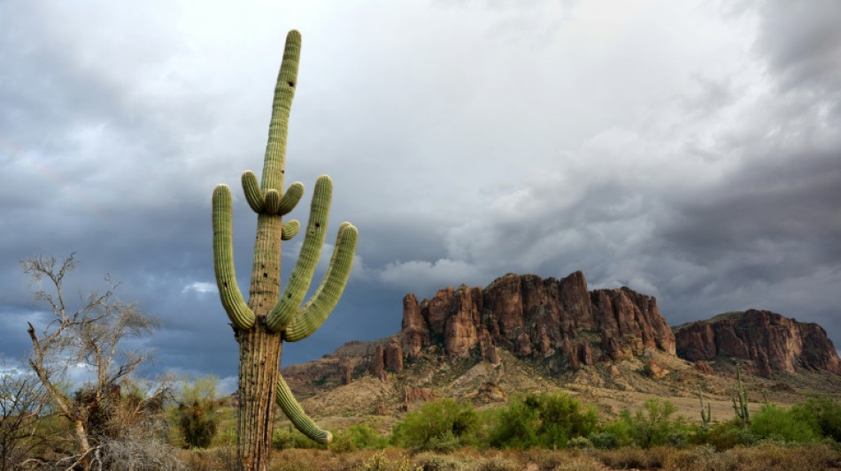 Por favor no laman los sapos psicod&eacute;licos, advierte el servicio de parques de EEUU