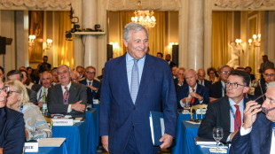 Tajani a Zelensky, 'coinvolga Italia e Polonia, non solo Francia e Germania'