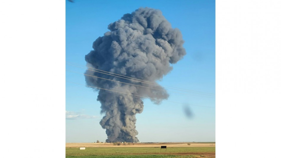 Explosi&oacute;n e incendio matan a 18.000 cabezas de ganado en Texas