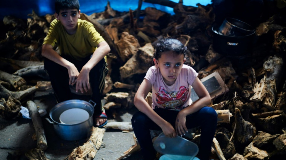 UN chief calls for probe into deaths near Gaza aid site