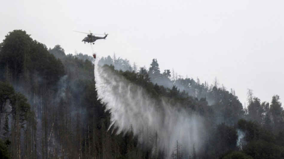 Feuerwehr bek&auml;mpft Glutfeuer in Waldbrandgebiet in S&auml;chsischer Schweiz