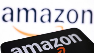 Preise f&uuml;r Werbung: US-Beh&ouml;rde und 22 Bundesstaaten klagen gegen Amazon