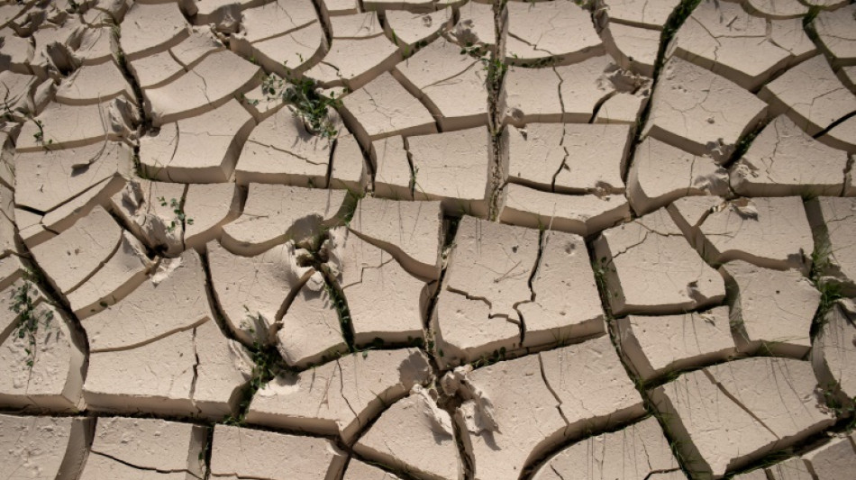 Con la desertificaci&oacute;n en Espa&ntilde;a, el avance de las tierras sin vida