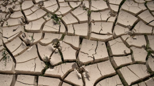 Con la desertificaci&oacute;n en Espa&ntilde;a, el avance de las tierras sin vida