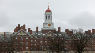 'Antissemitismo' leva governo dos EUA a revisar financiamento de Harvard