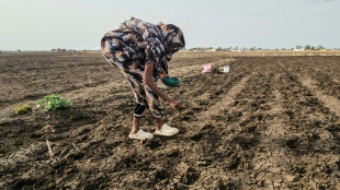 Estudo alerta que El Ni&ntilde;o pode causar 451 mil mortes adicionais no mundo at&eacute; fevereiro